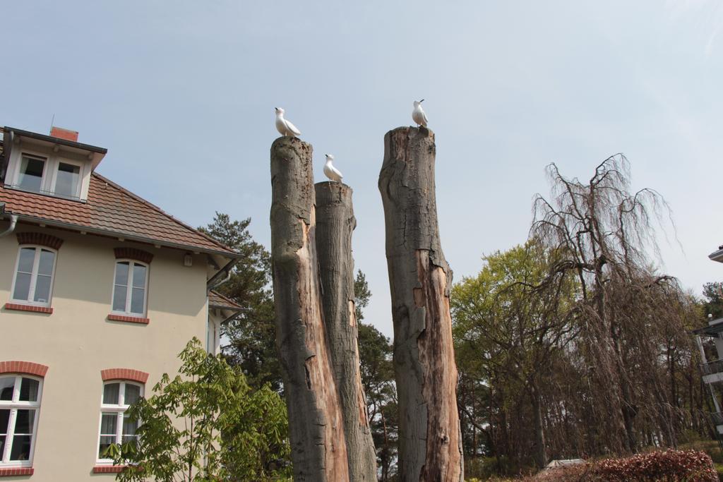 Hotel Pension auf der Düne Ostseebad Heringsdorf Exterior foto