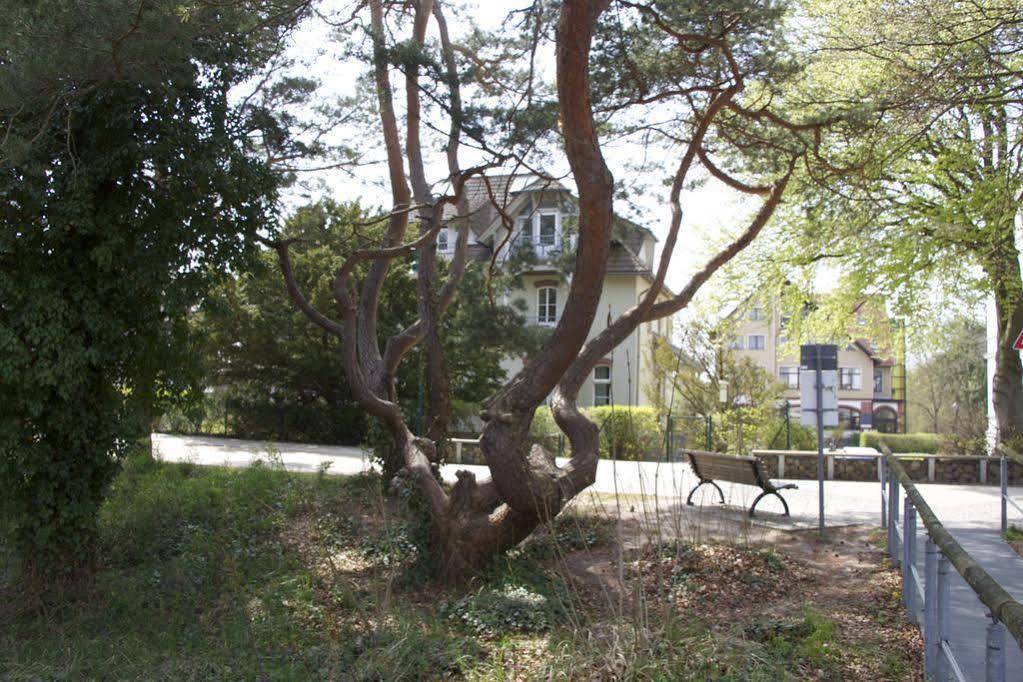 Hotel Pension auf der Düne Ostseebad Heringsdorf Exterior foto